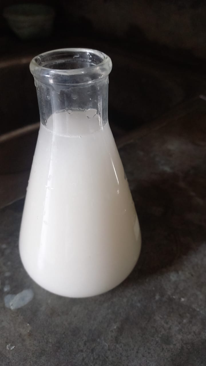 processing nano cellulose