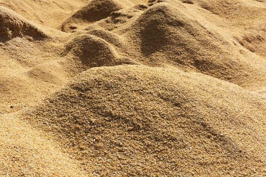 sawdust